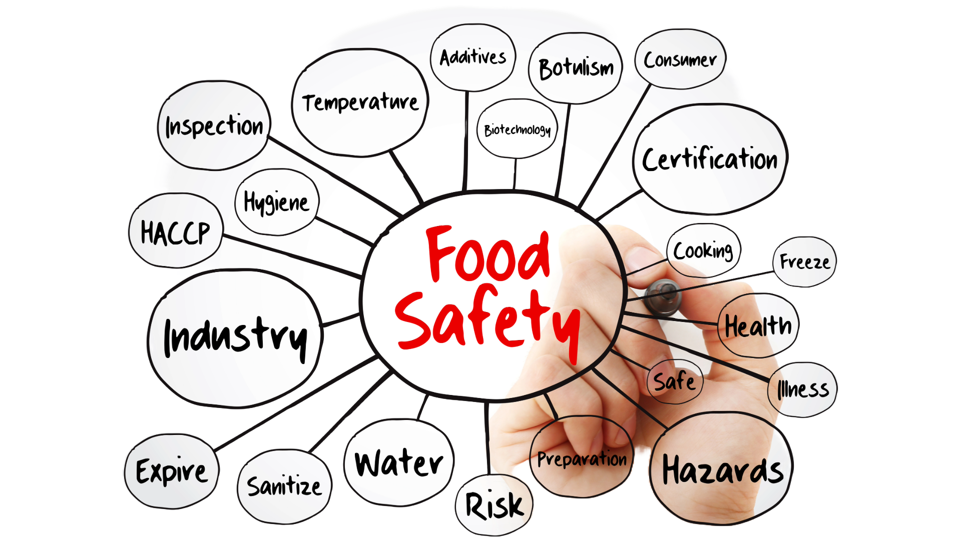 Ensuring Compliance: A Comprehensive Guide to the BRCGS Global Food Safety Standard