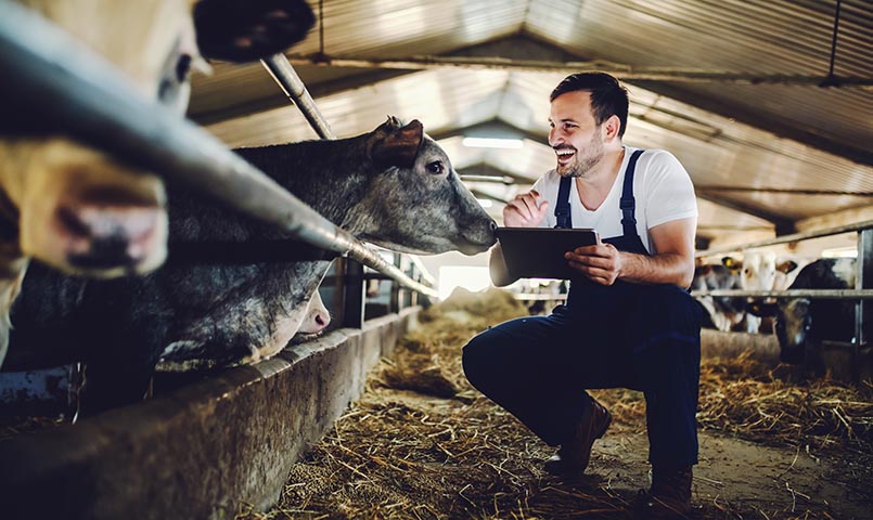 From Farm to Table: How Digitalization is Transforming the Dairy Industry