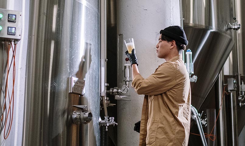 From Grain to Brain: How Cloud-Based Software Solutions are Revolutionizing Brewery Analytics